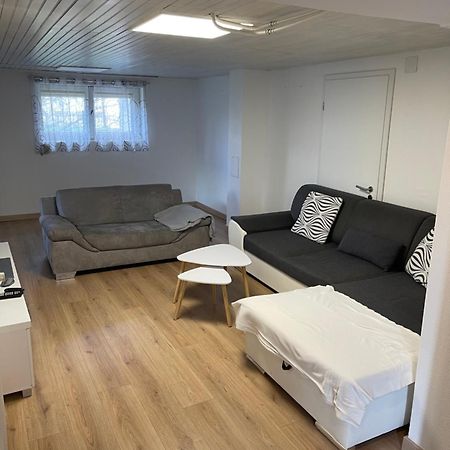 Chaleureux Appartement - Estrade Bollwiller Екстериор снимка